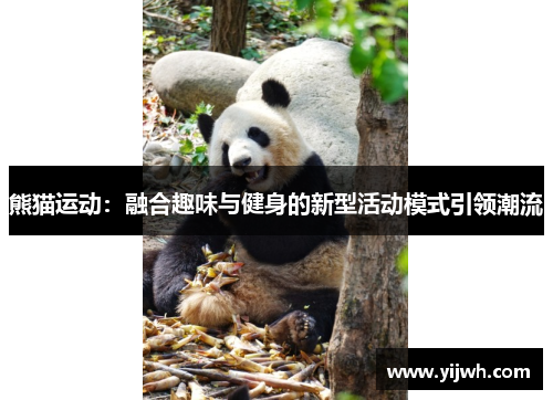 熊猫运动：融合趣味与健身的新型活动模式引领潮流