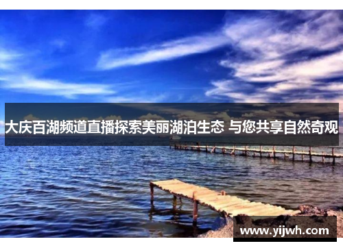 大庆百湖频道直播探索美丽湖泊生态 与您共享自然奇观