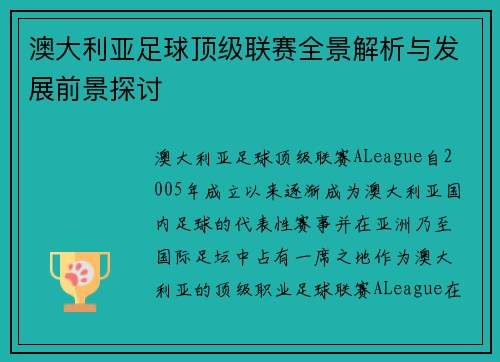 澳大利亚足球顶级联赛全景解析与发展前景探讨