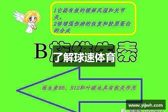 了解球速体育